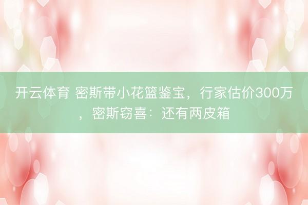 开云体育 密斯带小花篮鉴宝，行家估价300万，密斯窃喜：还有两皮箱