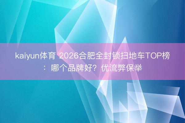 kaiyun体育 2026合肥全封锁扫地车TOP榜：哪个品牌好？优流弊保举