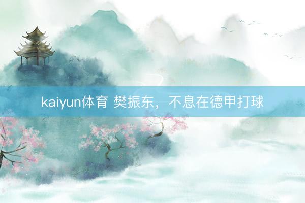 kaiyun体育 樊振东,不息在德甲打球